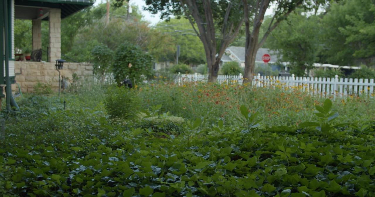 Granbury Gardens Bed And Breakfast Εξωτερικό φωτογραφία